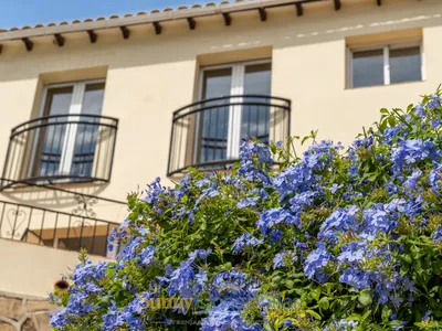 Casa Burbujas — photo 82