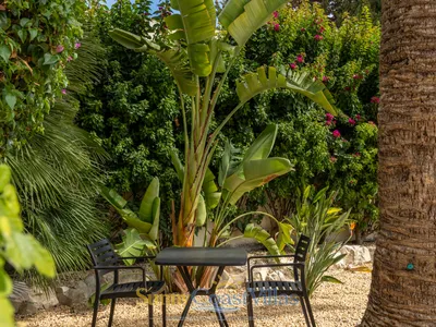Casa Burbujas — photo 83