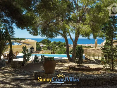 Sunny Hill — photo 9
