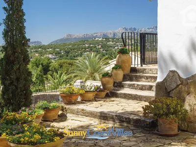 Sunny Hill — photo 14