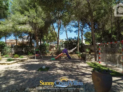 Sunny Hill — photo 11